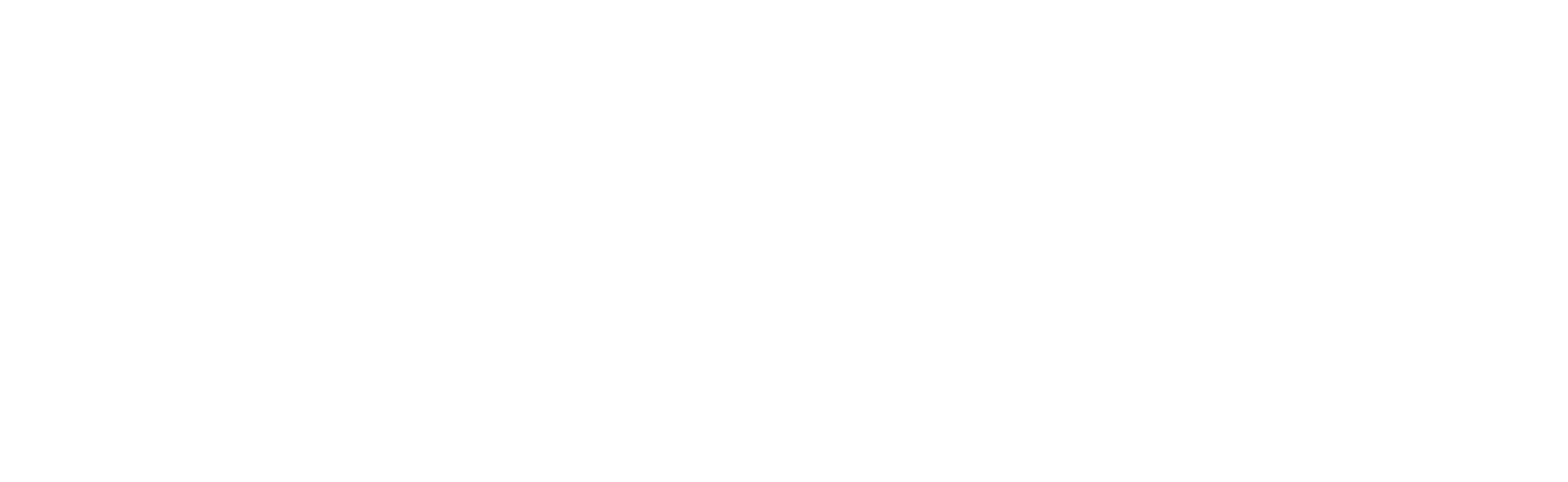 Maîtrise de l'investissement