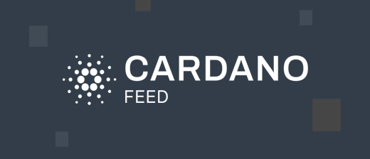 Cardano Feed